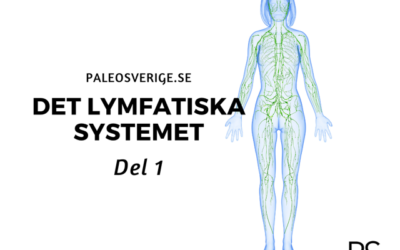 Det lymfatiska systemet – del 1